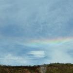 OTRA2014_0143 (August 25, 2014)